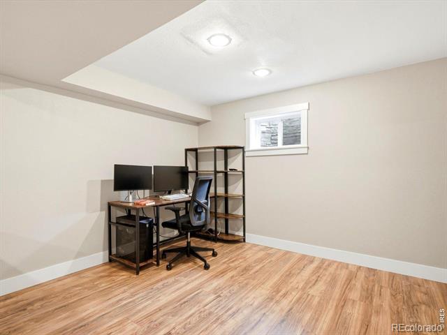 971 Vetch Circle