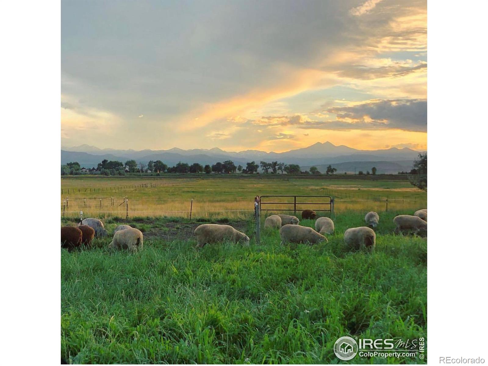 13601 N 115th Street