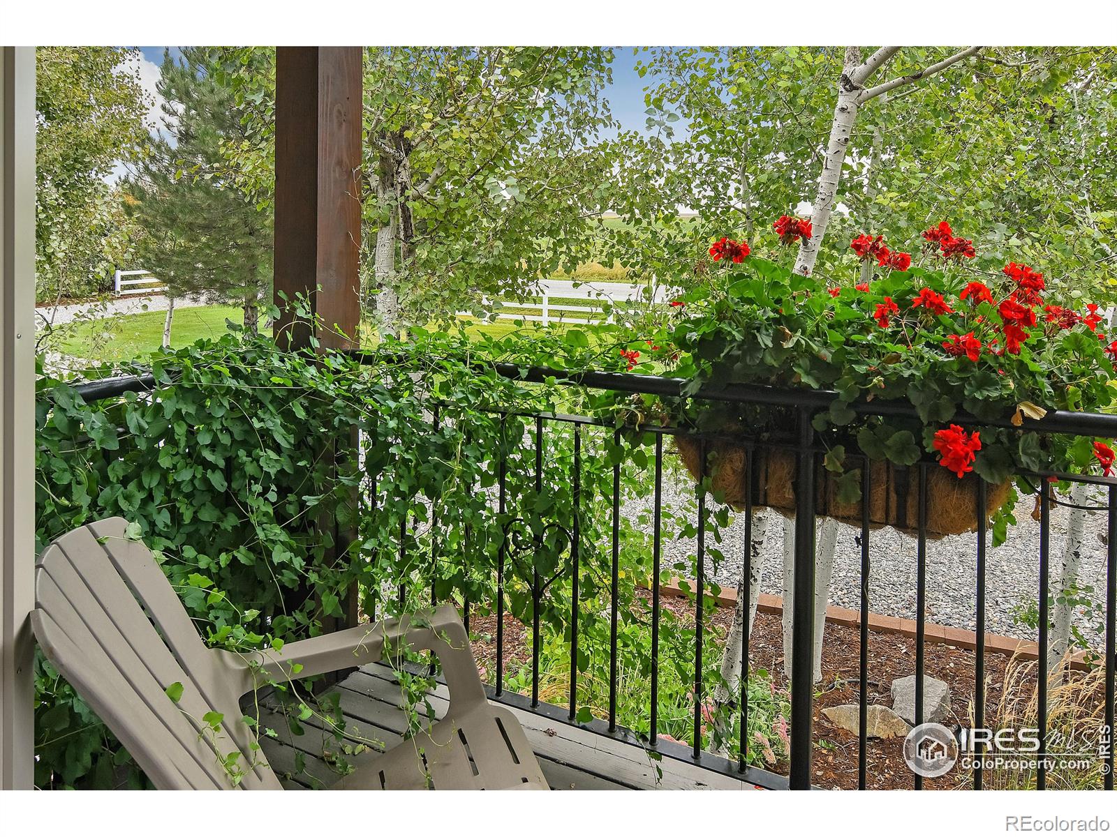 13601 N 115th Street