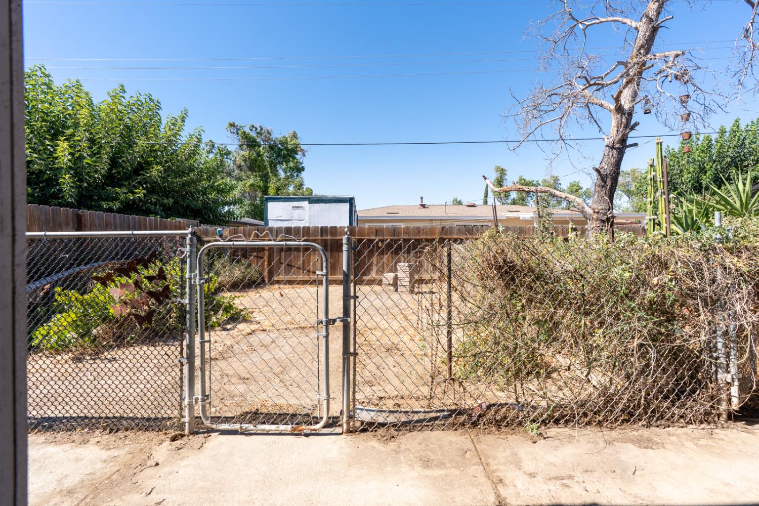 420 Lime Avenue