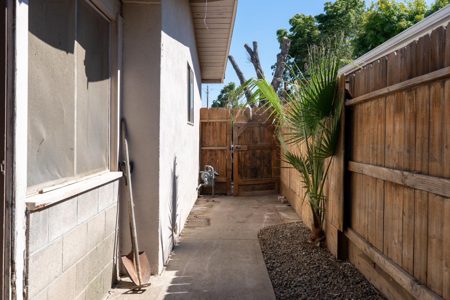 420 Lime Avenue