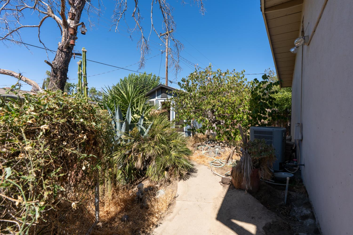 420 Lime Avenue