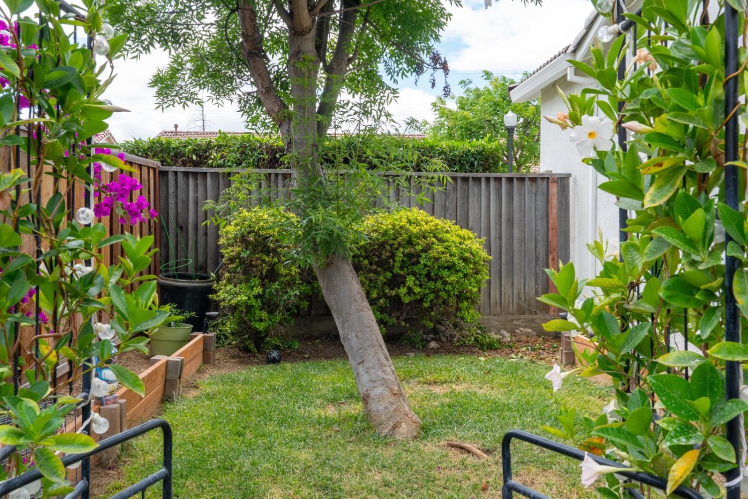 3008 La Vina Circle
