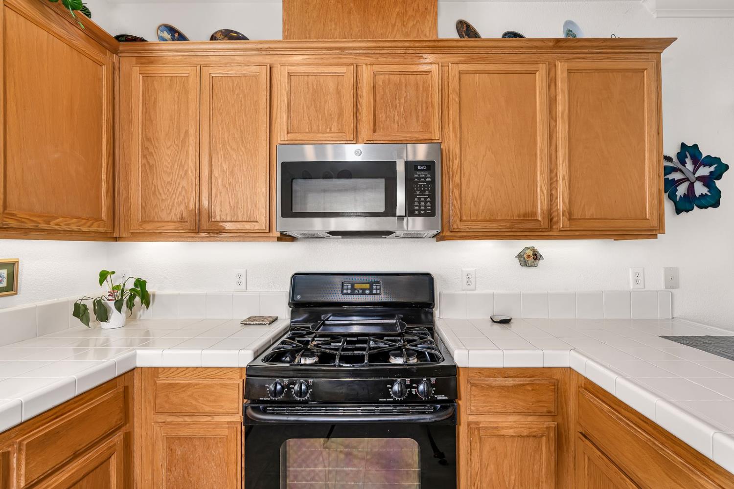 2985 La Vina Circle