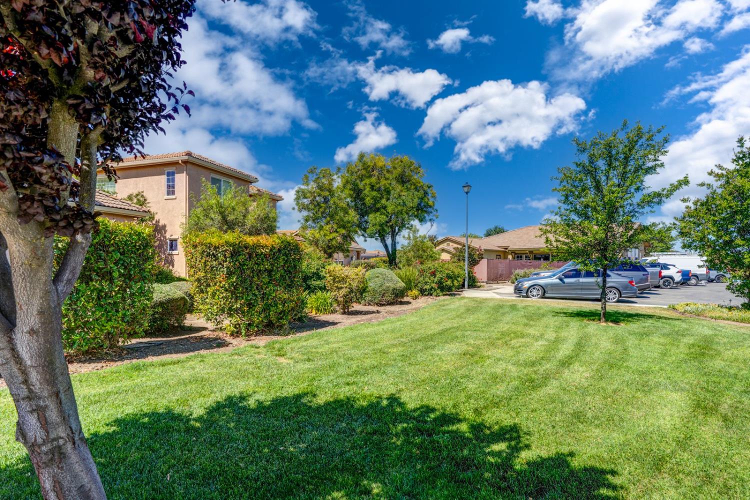 860 Fritz Drive