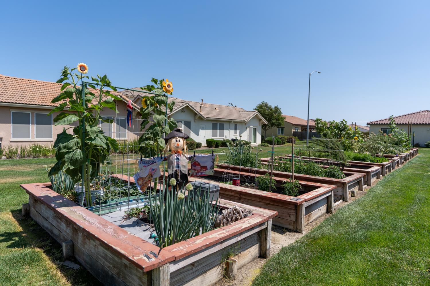 860 Fritz Drive
