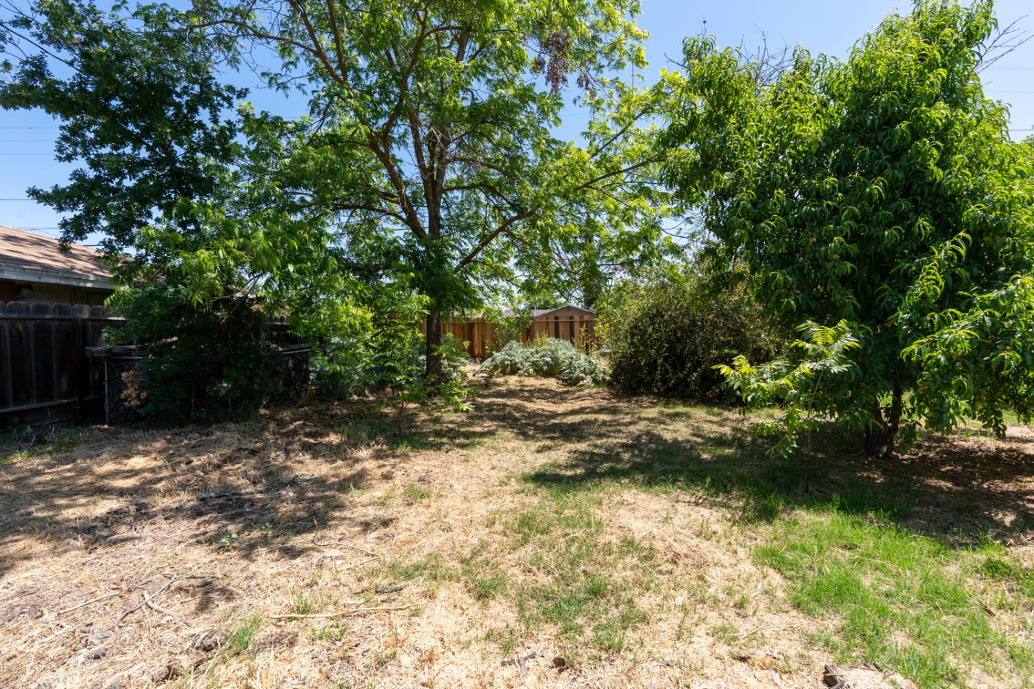 1117 Center Avenue