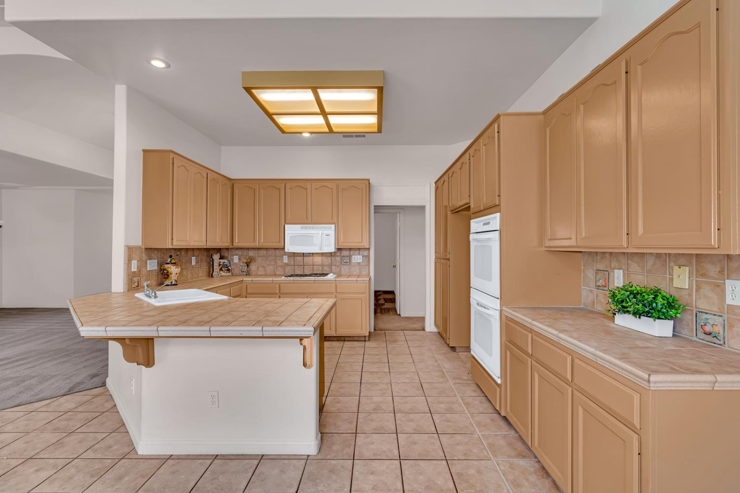 2541 Canvasback Drive