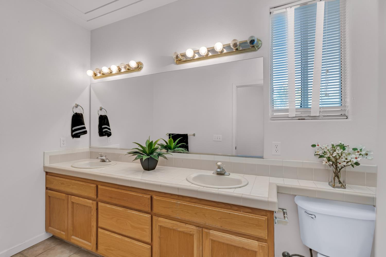 2541 Canvasback Drive
