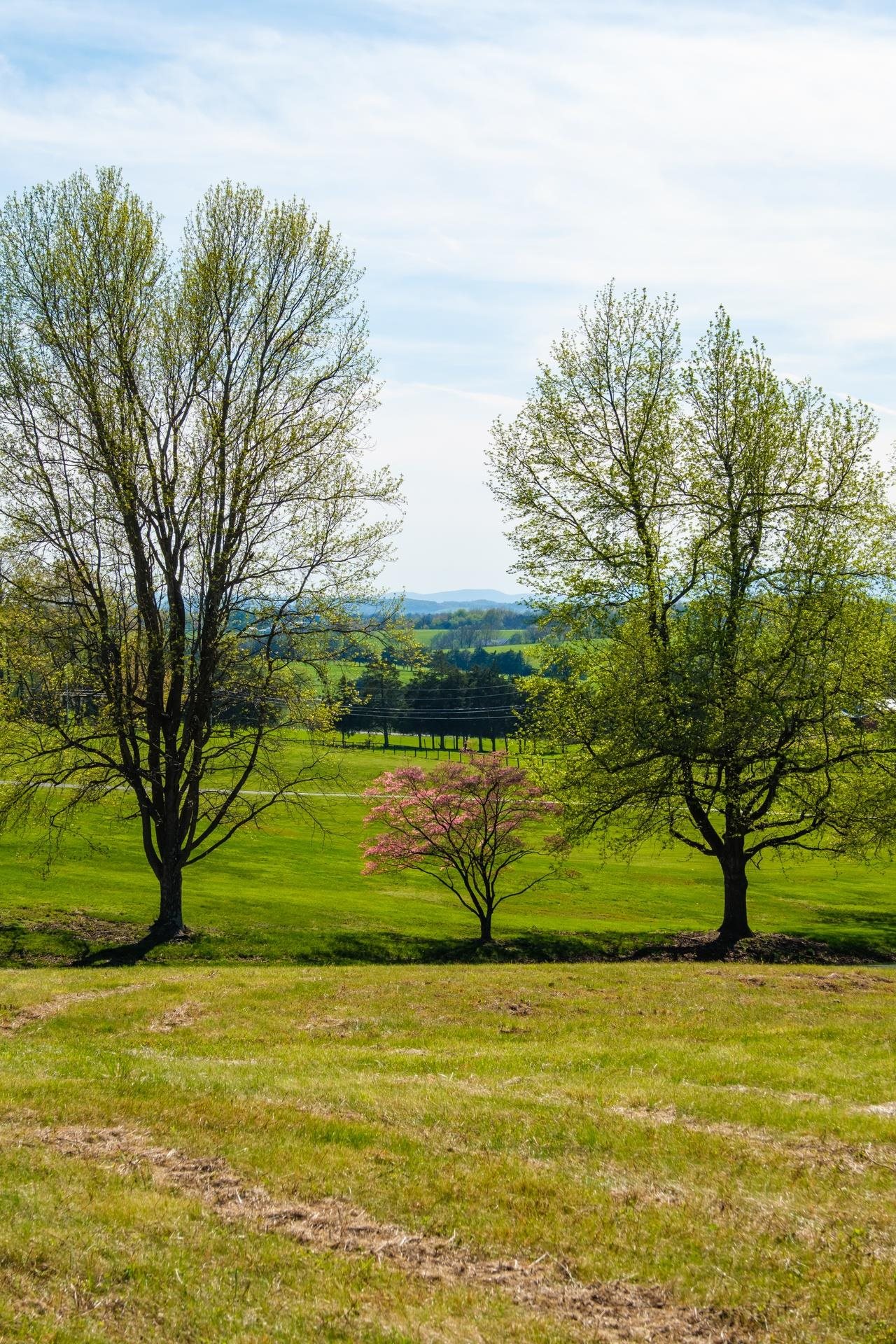 Lot 5 FOX HILL DR