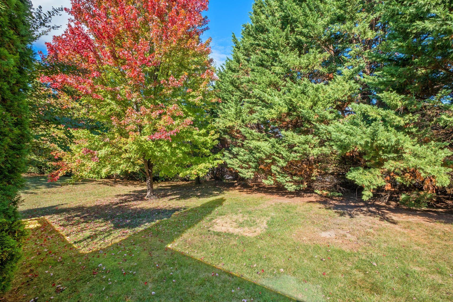 2221 LAKE TERRACE DR