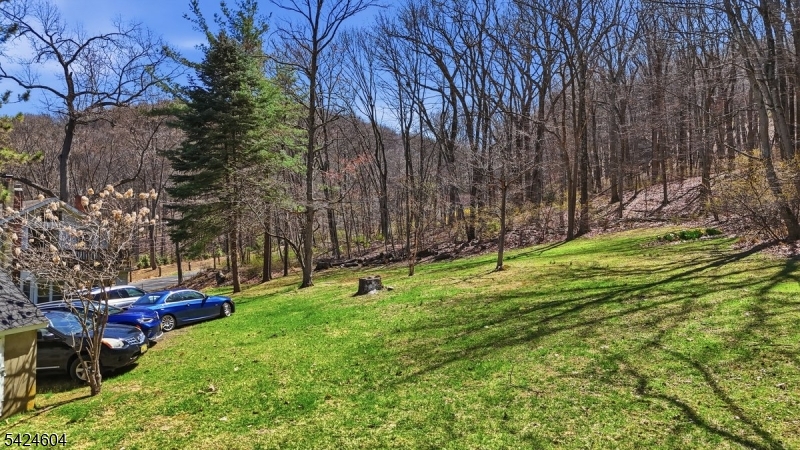 103 Lommason Glen Rd