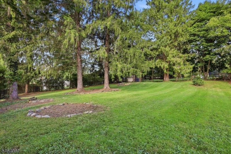 Tree-lined grassy yard with mature evergreens and a broad lawn.