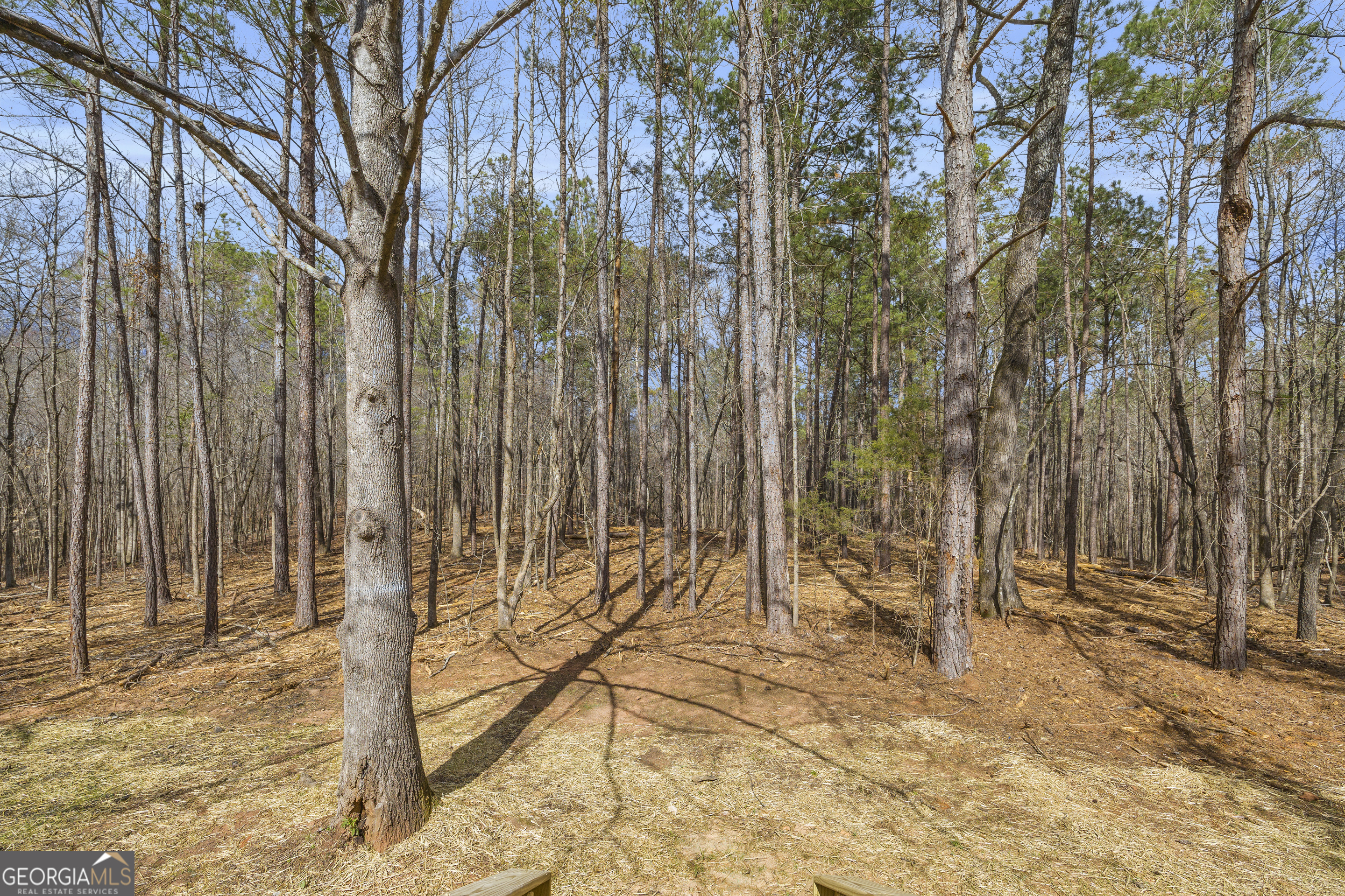 60 Tribble Bottoms Road