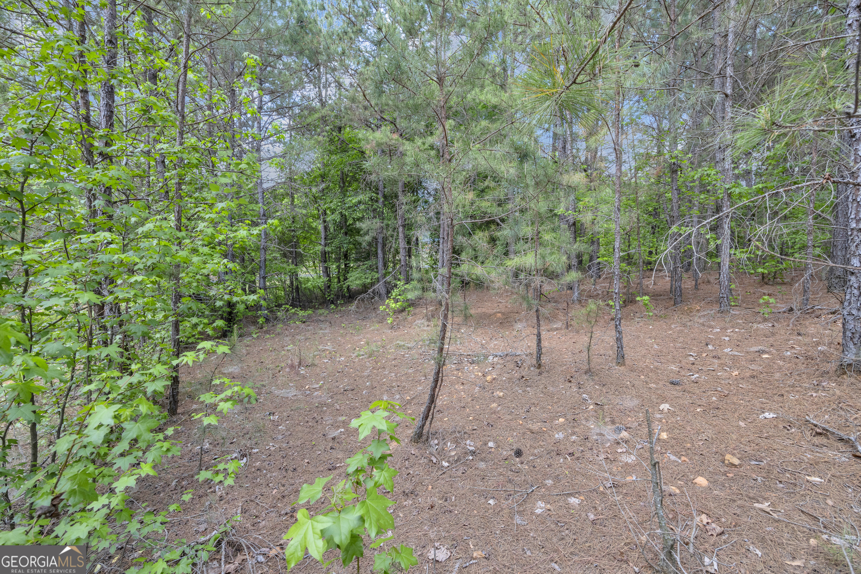 4343 HWY 106 South