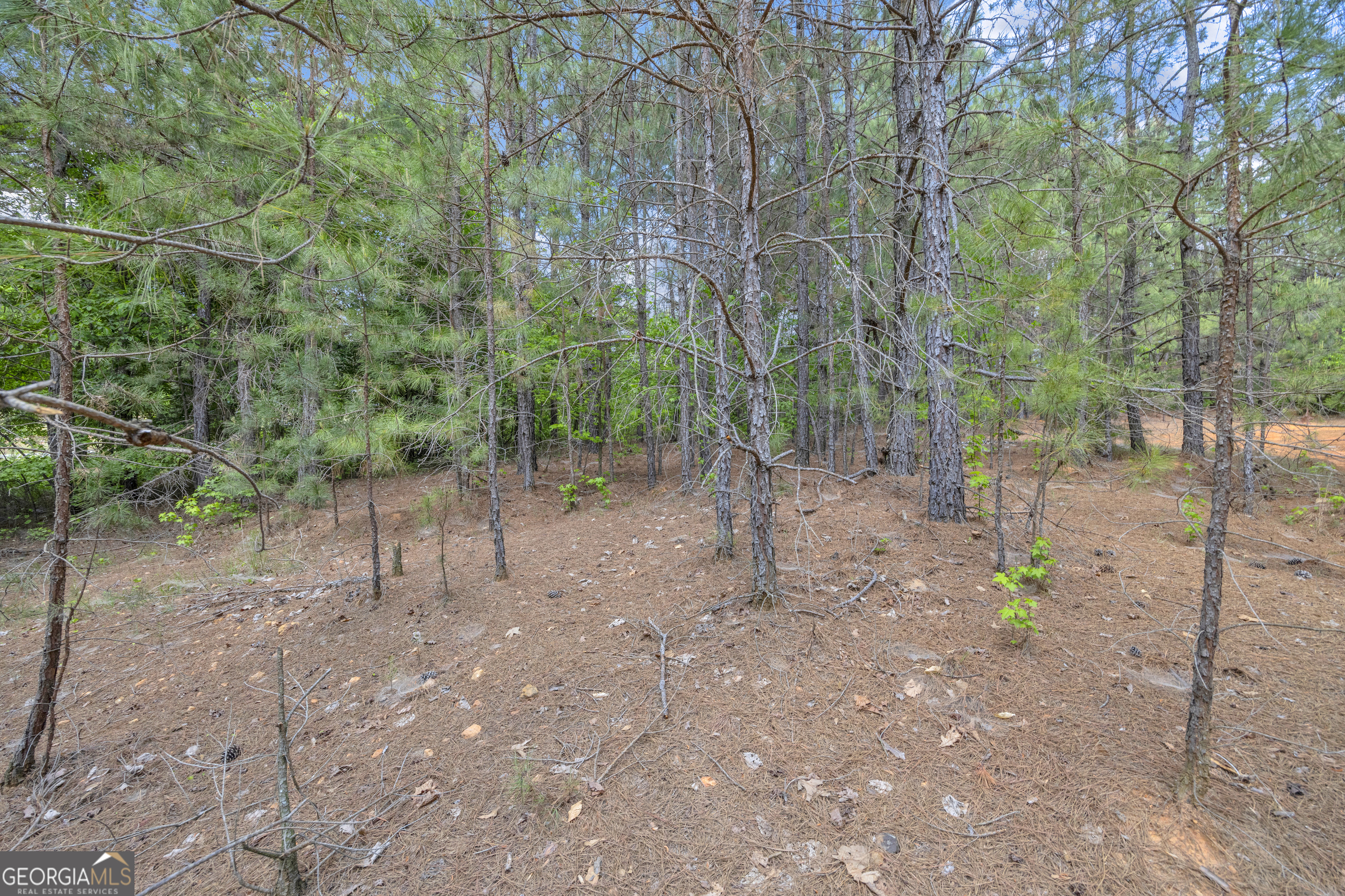 4343 HWY 106 South
