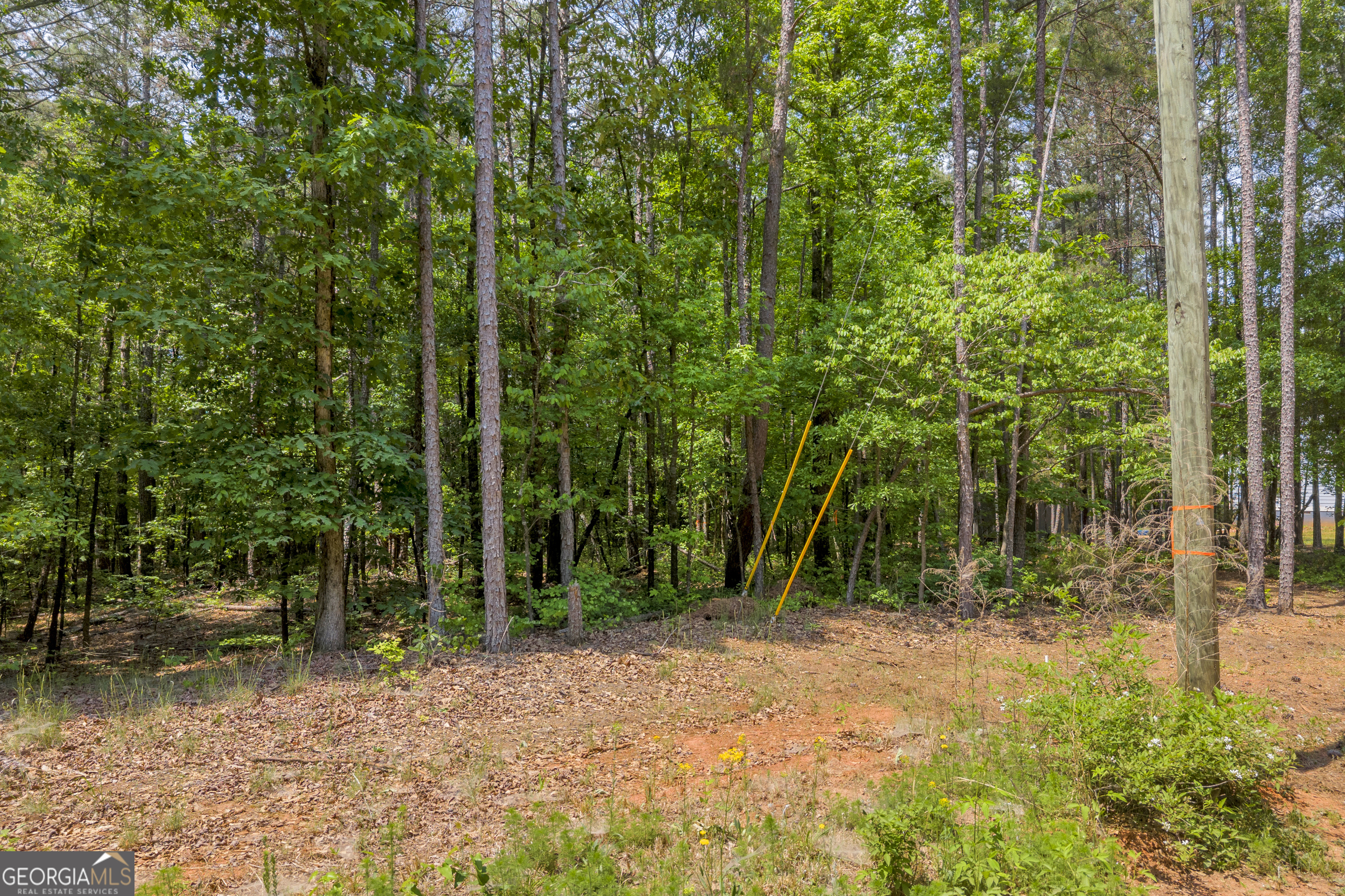 4343 HWY 106 South