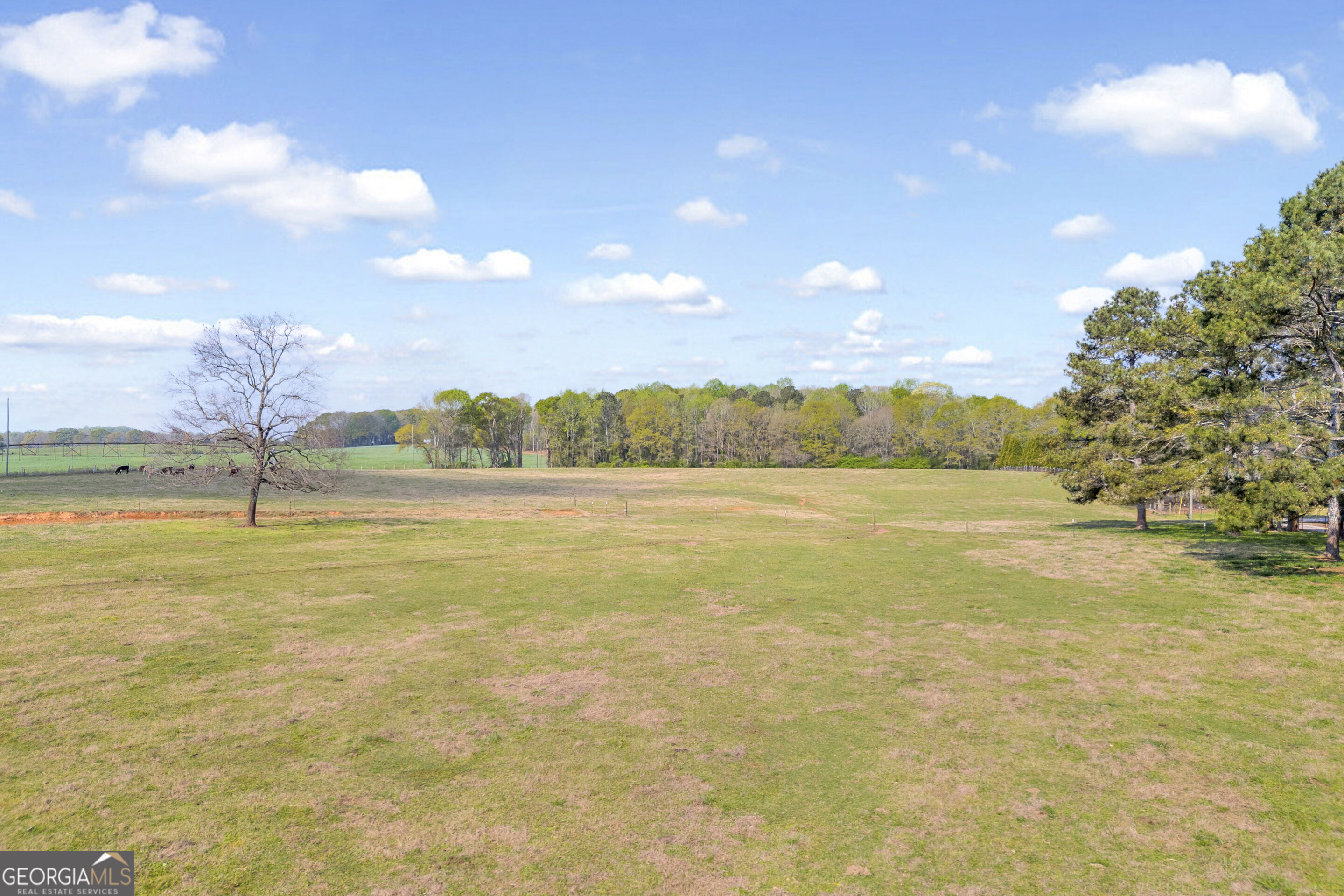 1497 Kirkland Road
