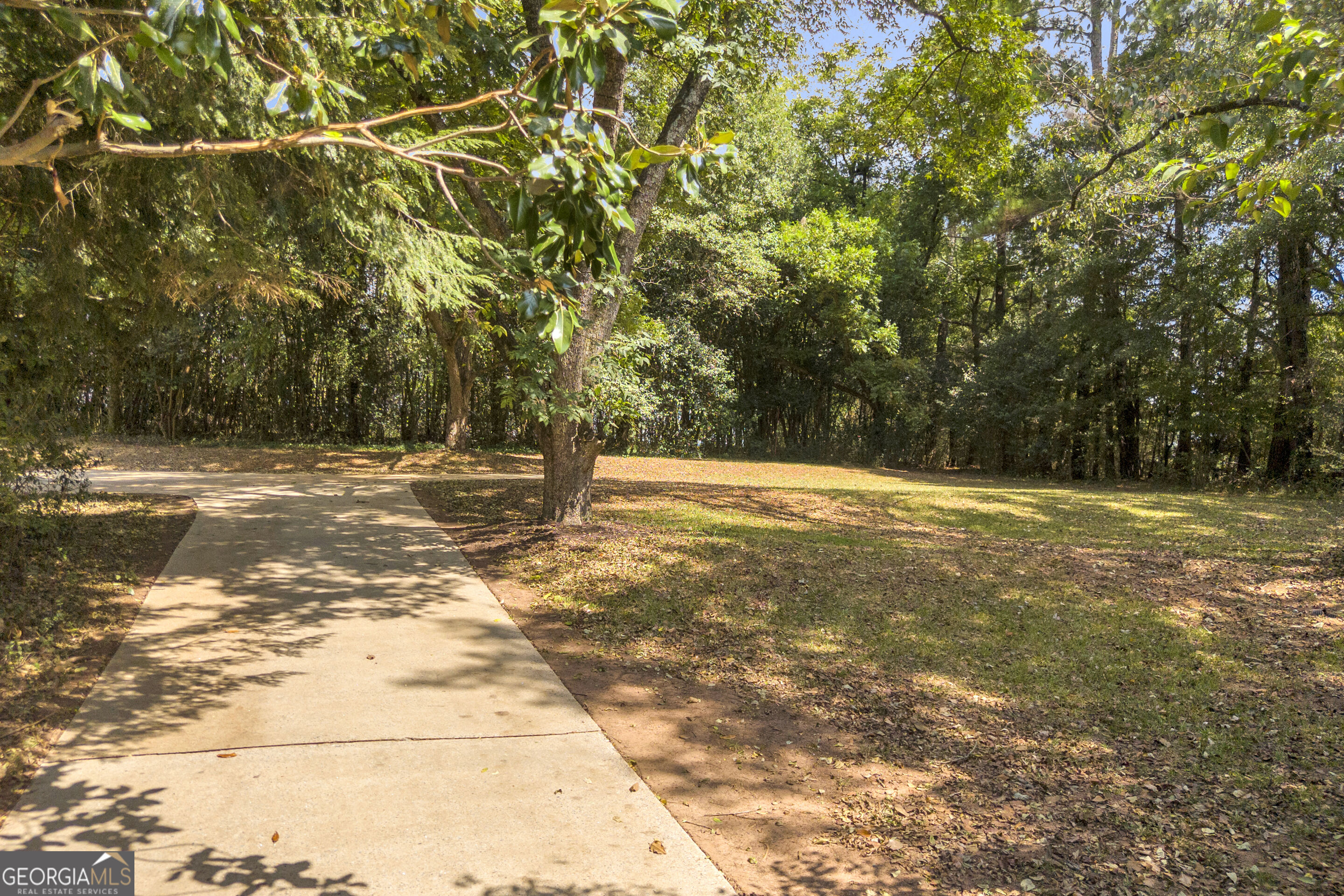 Concrete driveway curves through a wooded, leaf-strewn yard.