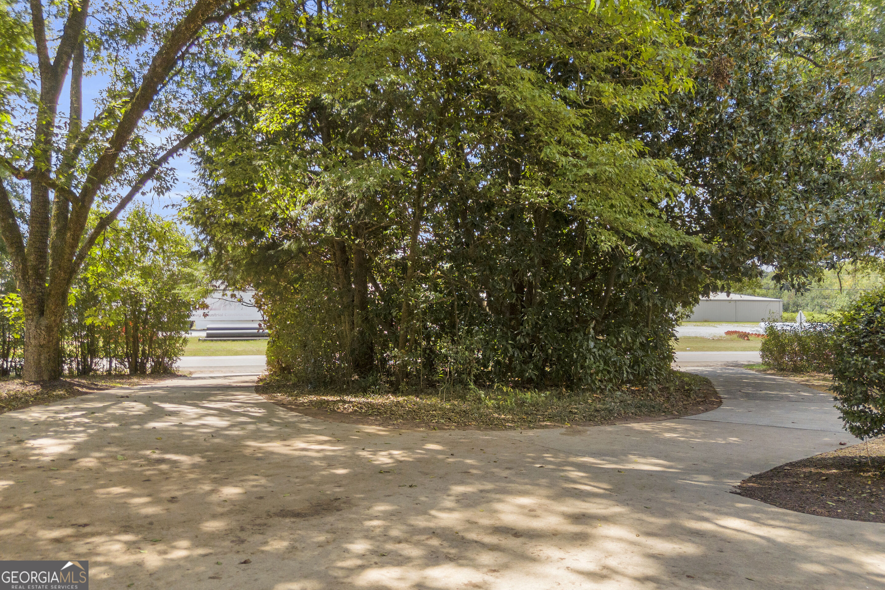 Paved driveway curves around a densely planted island of mature trees and hedges.