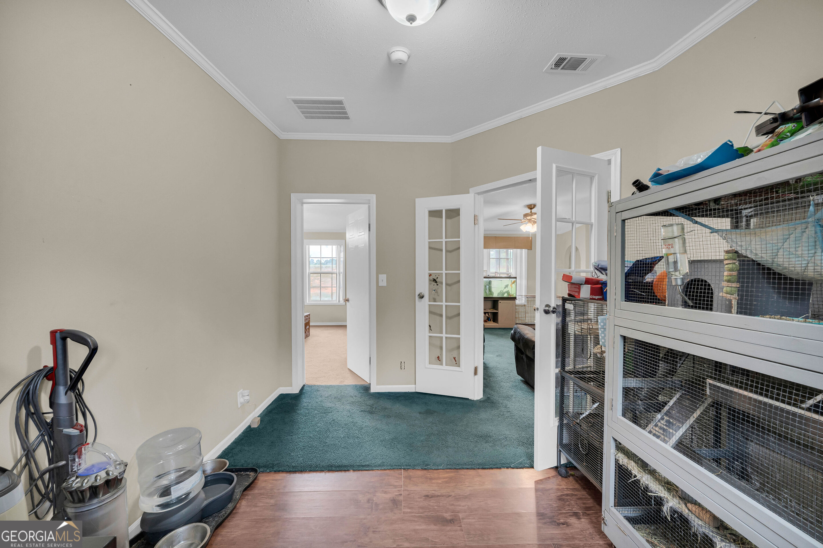 Interior room with teal carpet, large animal cages, and pet-care supplies beside open doorways.