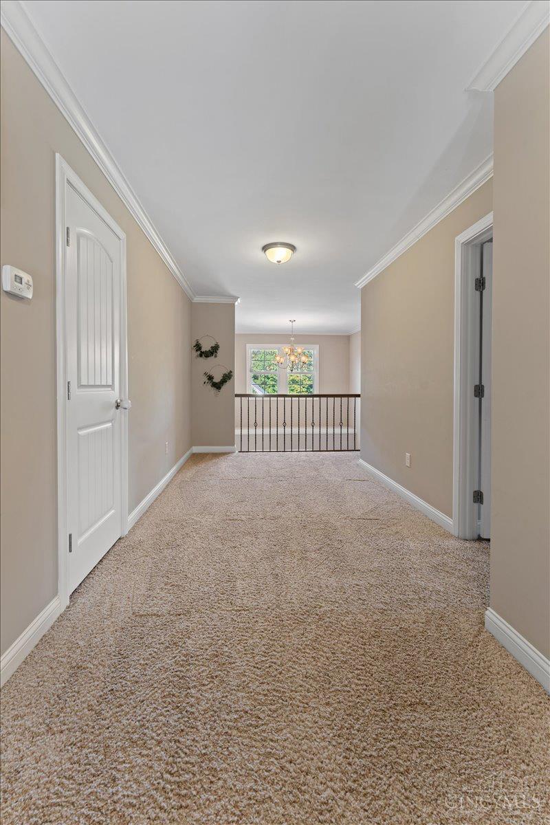 1262 Bluegrass Boulevard