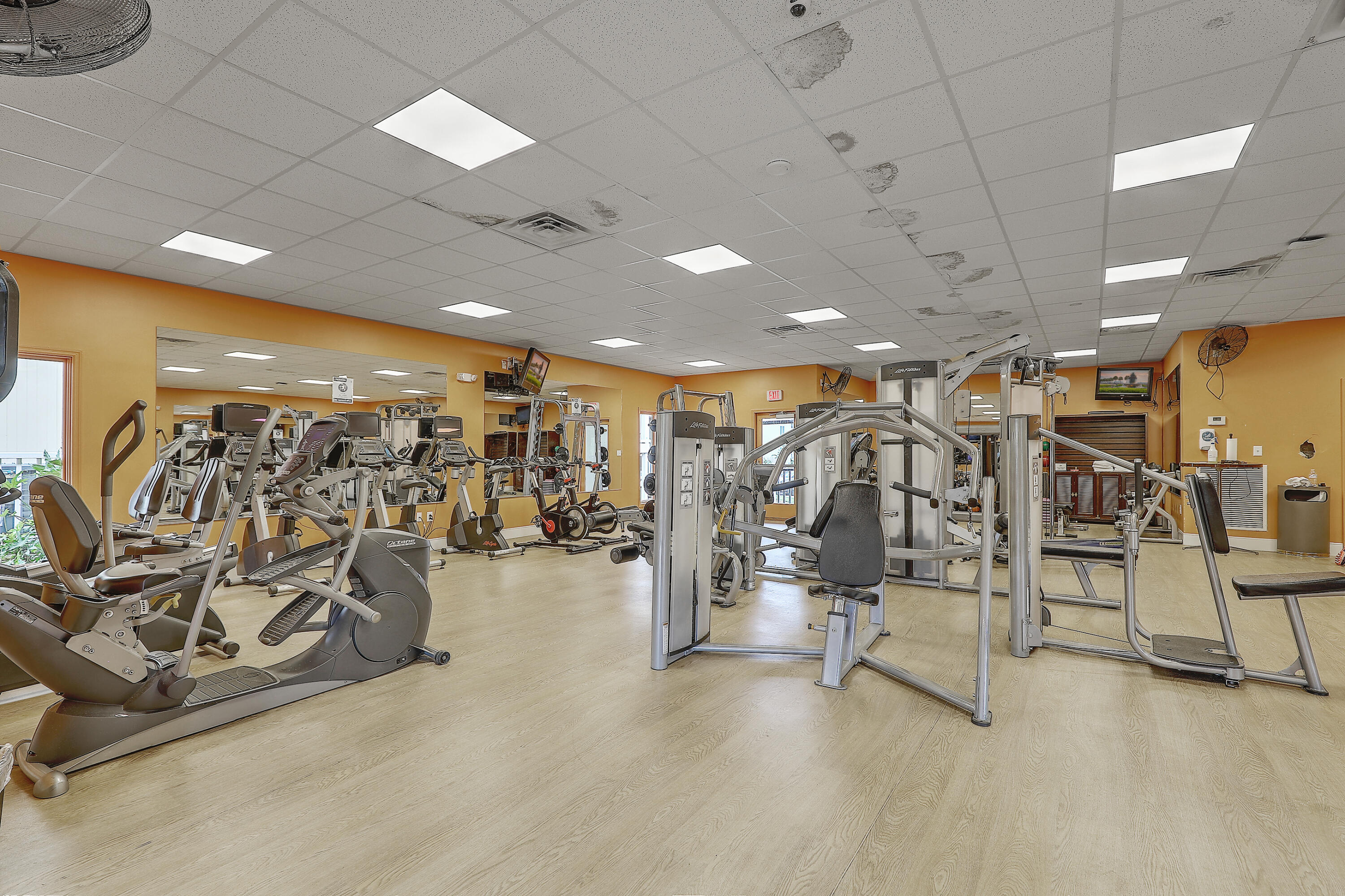 9000 Palmetto Drive Unit: 103d