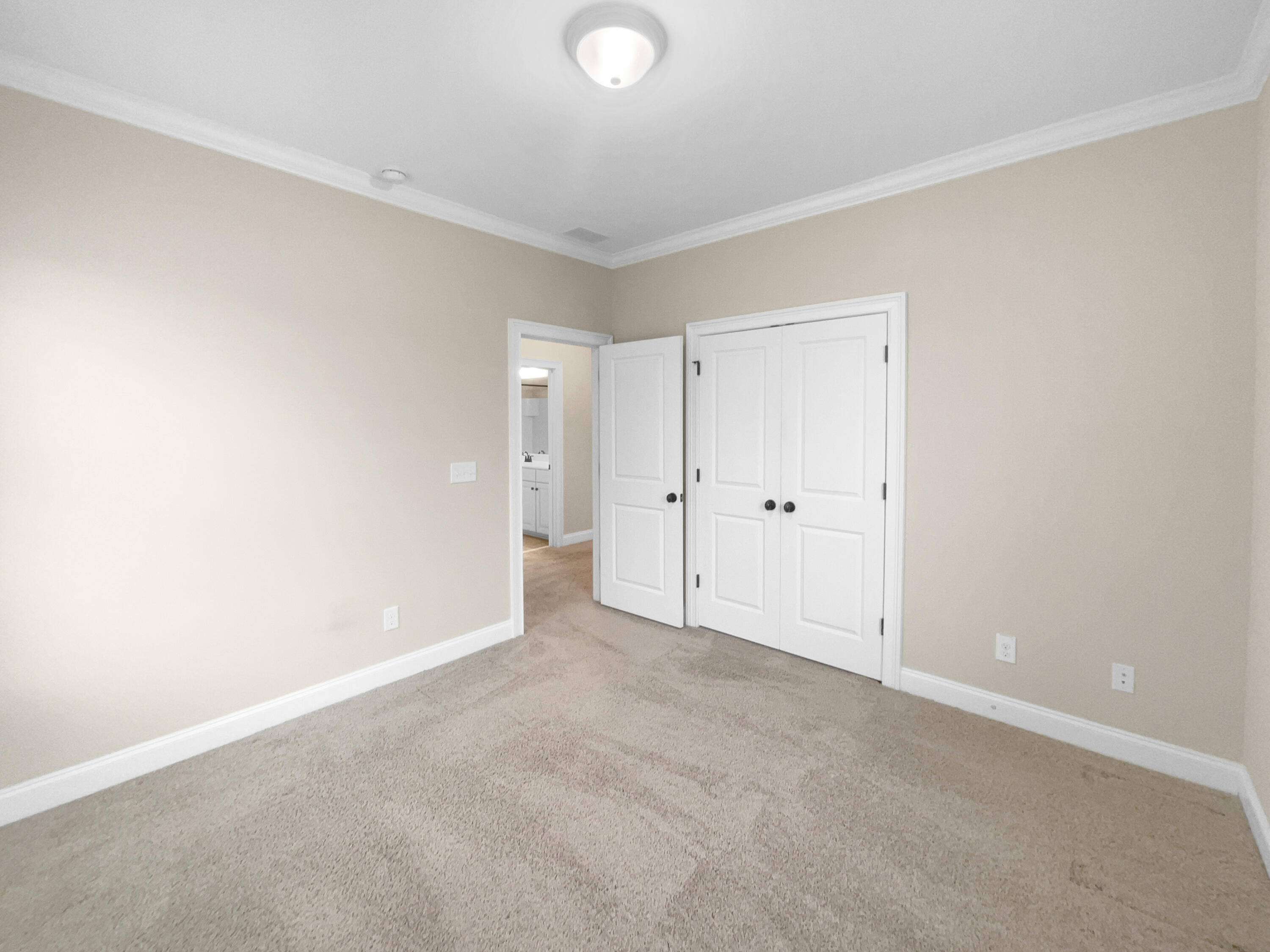 3699 Shutesbury Street