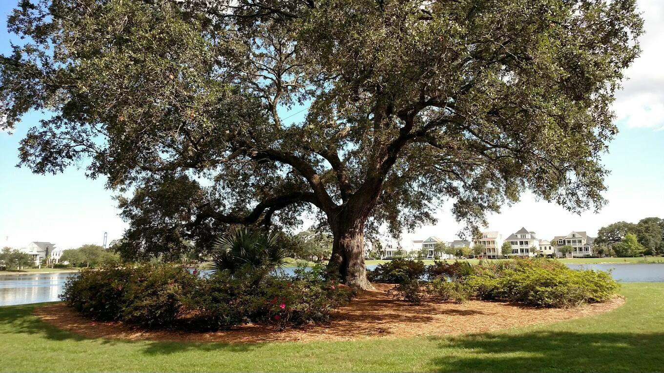 1225 Blakeway Street # 1104