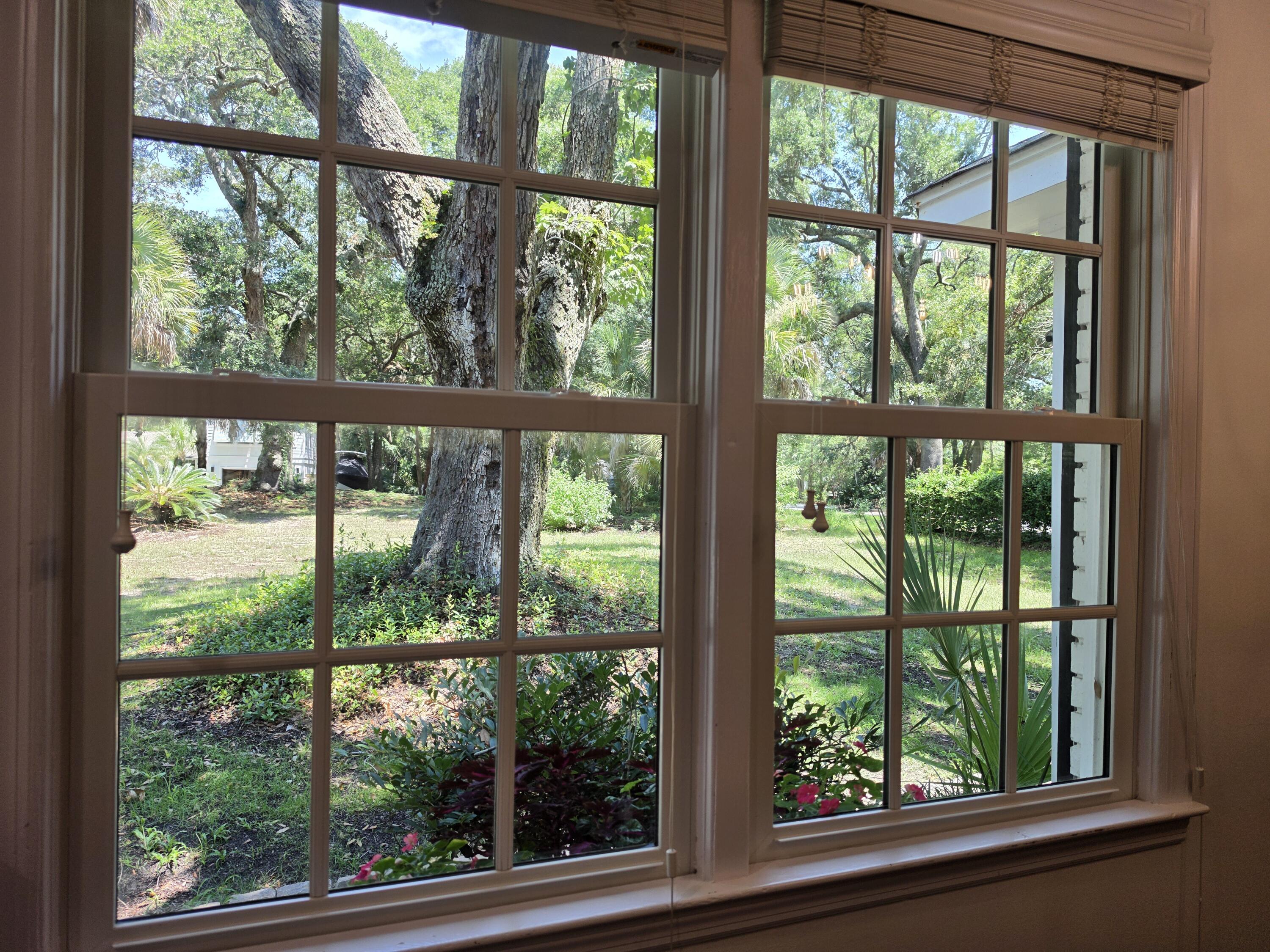 256 Forest Trail