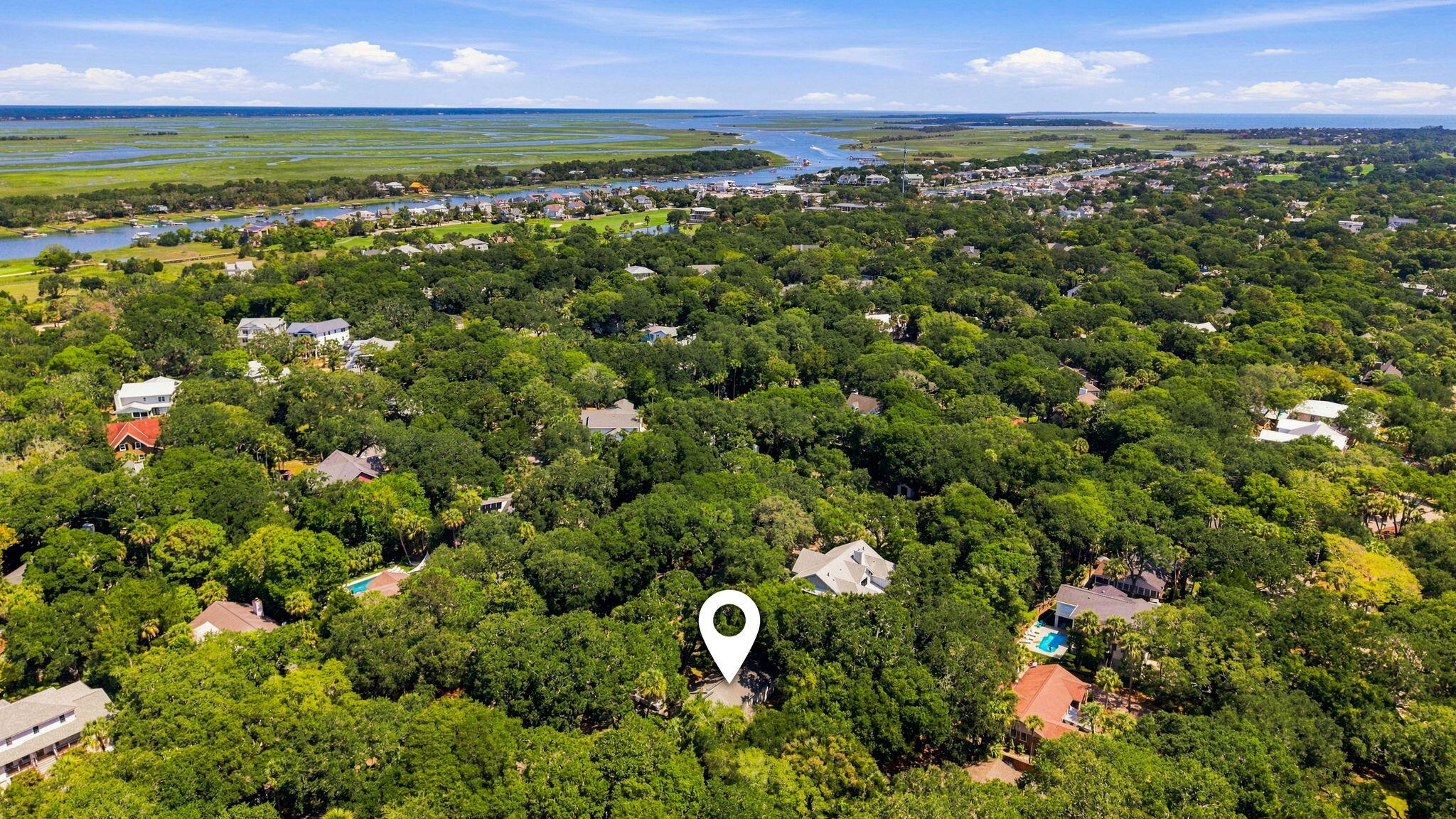 256 Forest Trail