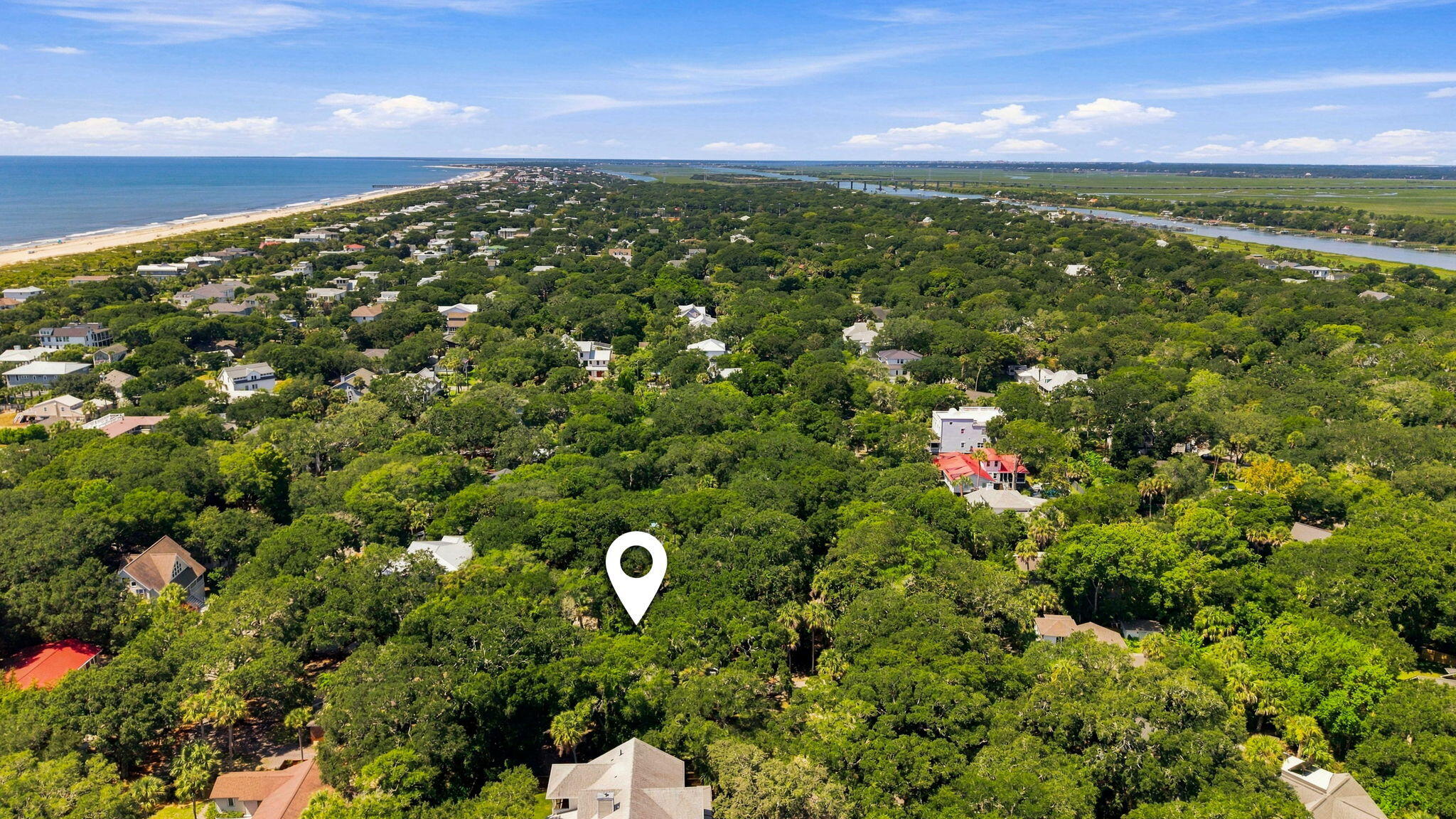 256 Forest Trail