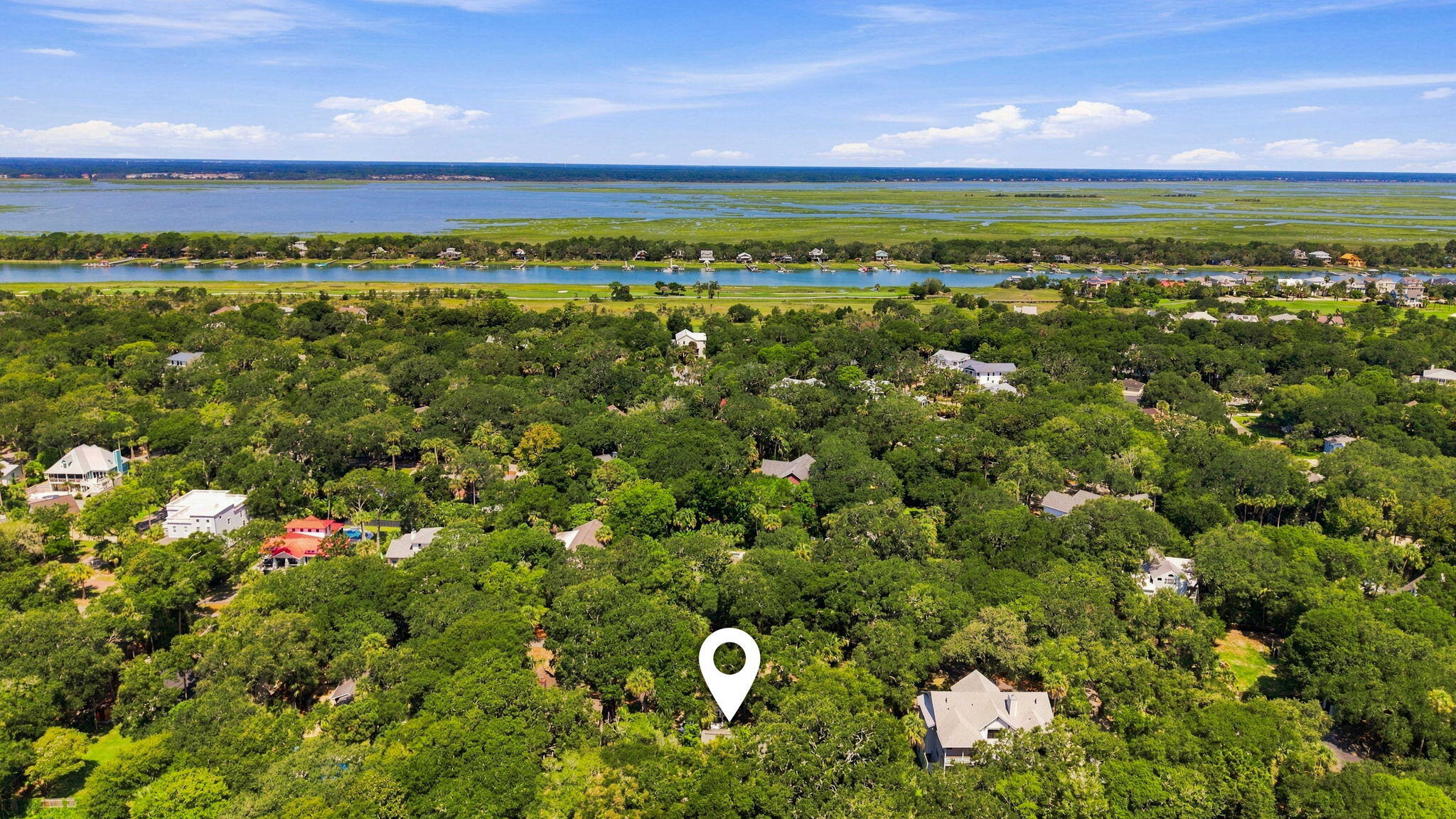 256 Forest Trail