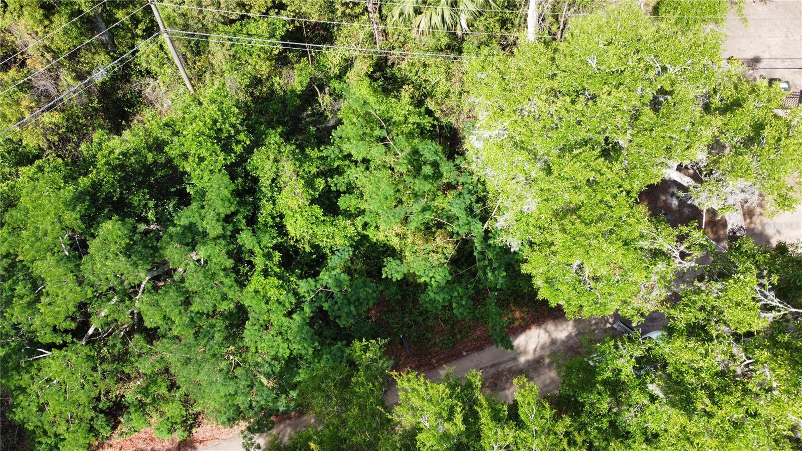 Lot 58 and 59 PADUCAH ST