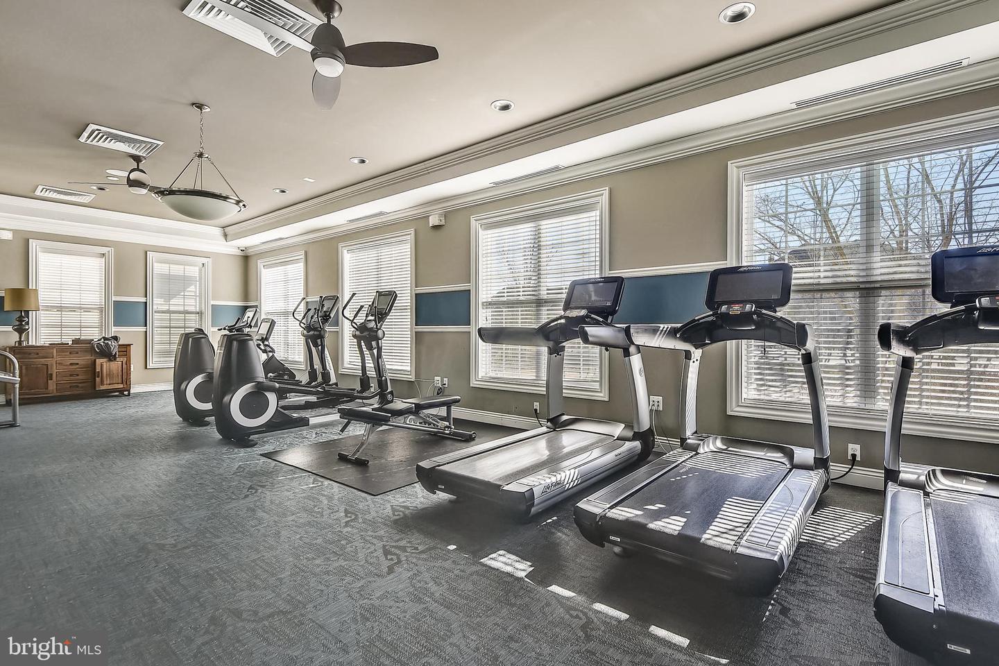 1337 GRAND CANOPY DRIVE