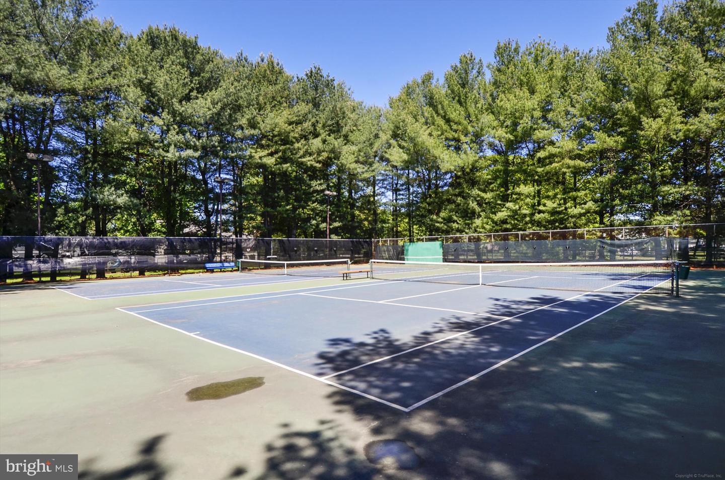 477 Cardiff Ct