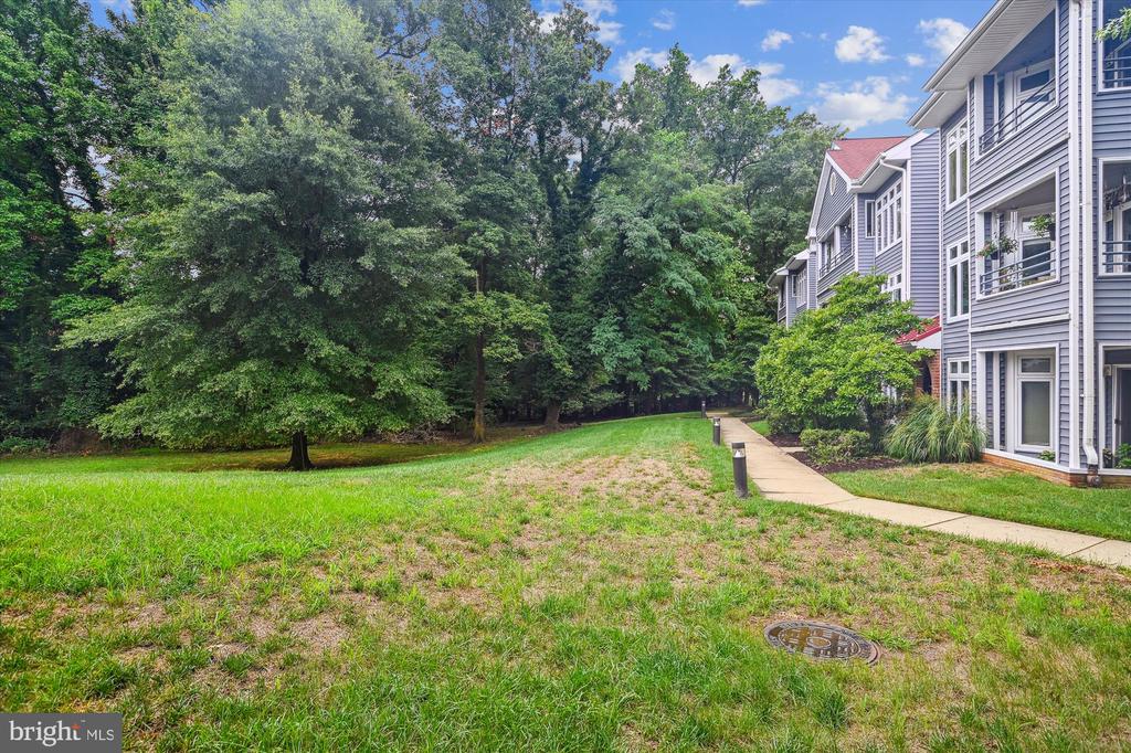 1134 Lake Heron Dr #1a