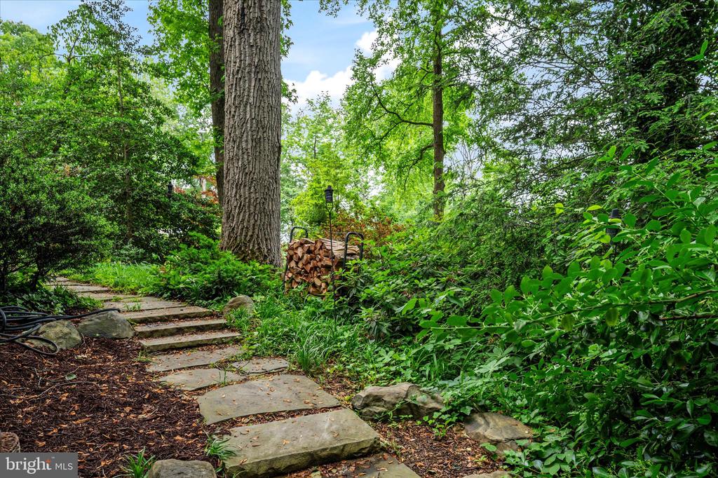 934 N FOREST TRAIL