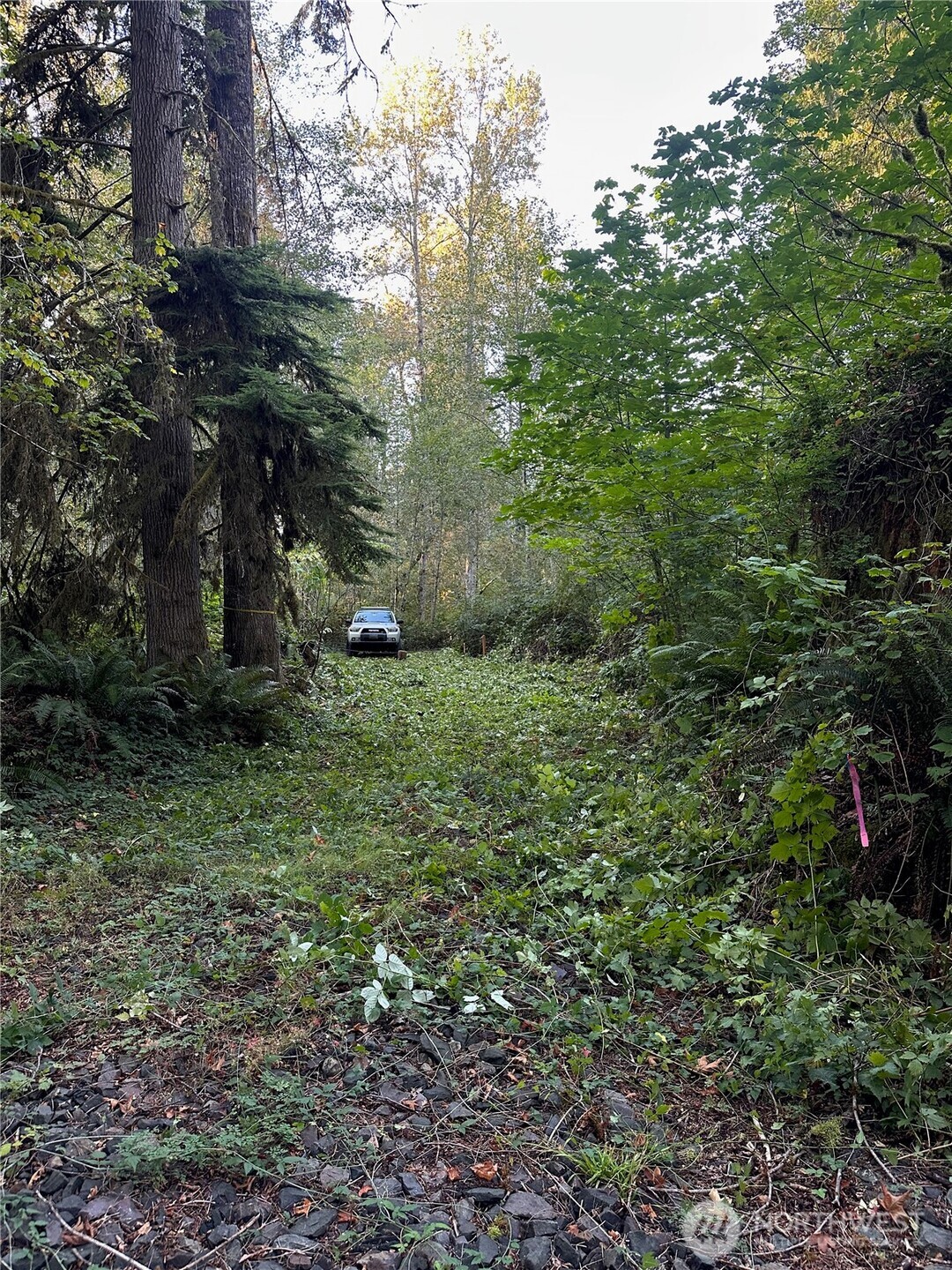 358 XX NE Moss Lake Road