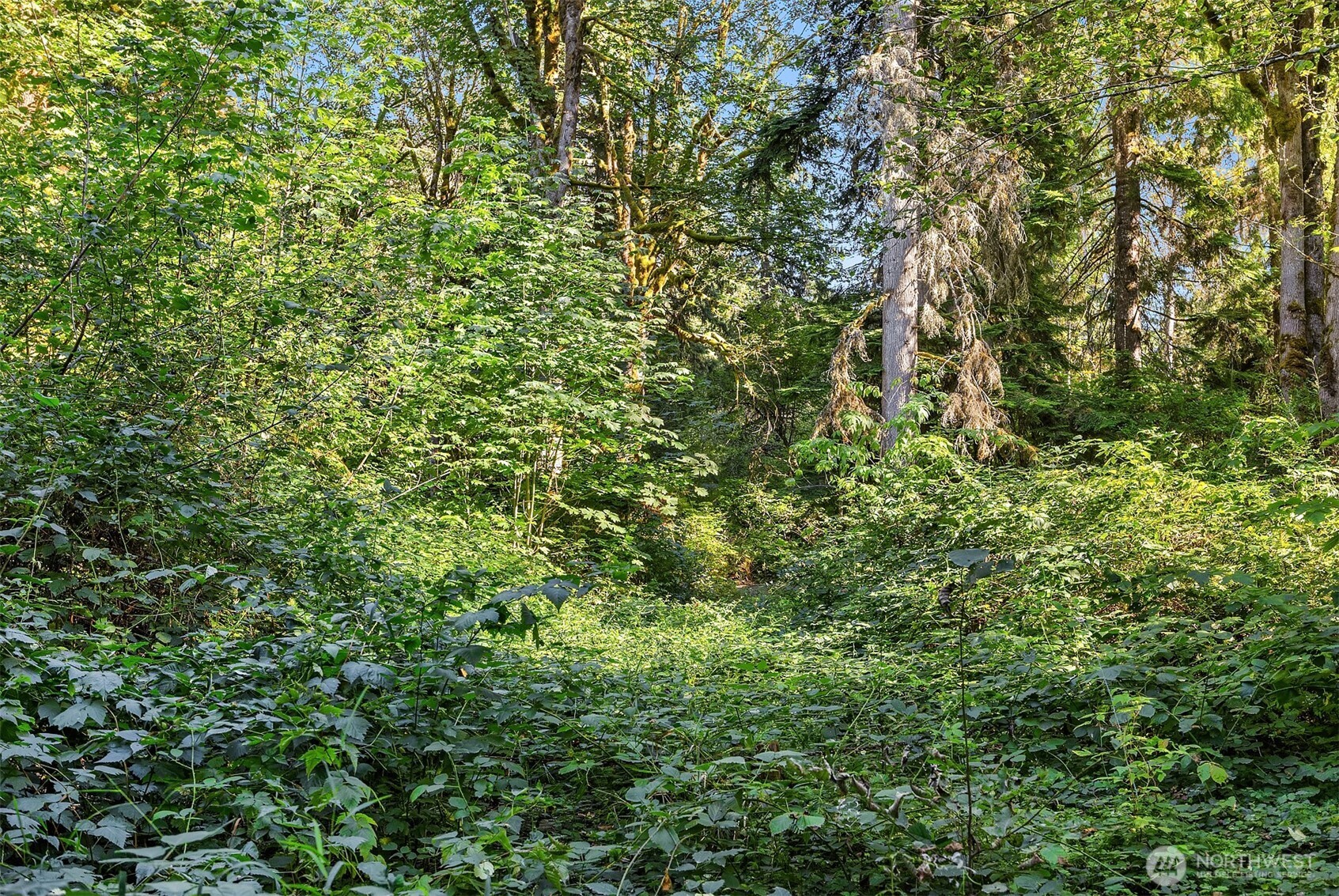 358 XX NE Moss Lake Road