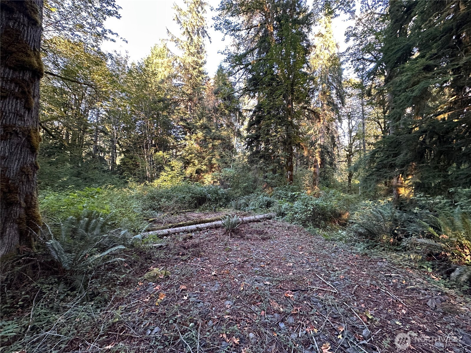 358 XX NE Moss Lake Road