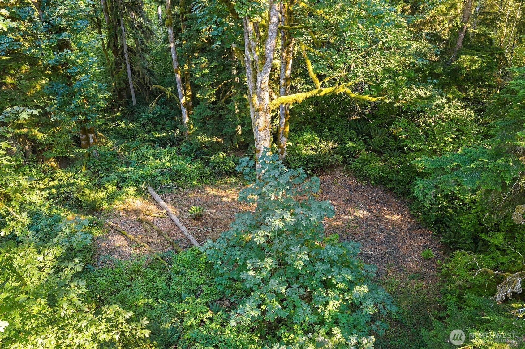 358 XX NE Moss Lake Road
