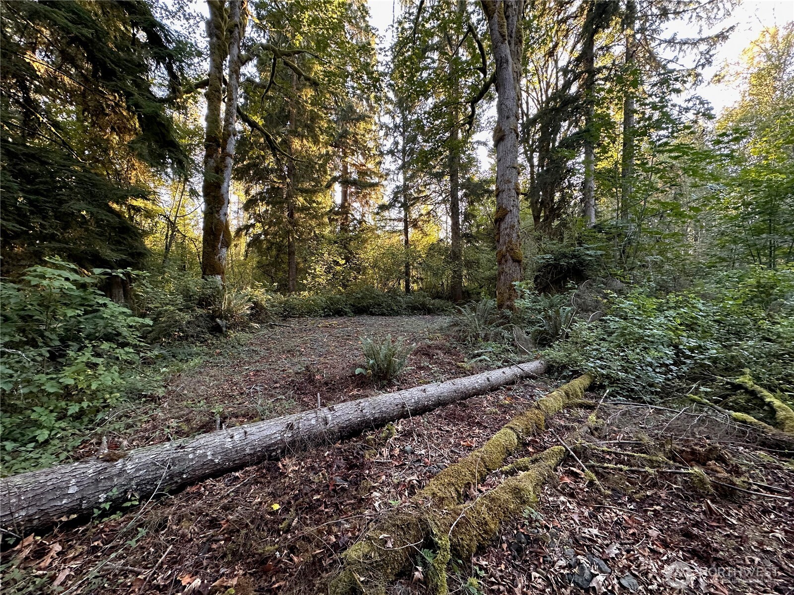 358 XX NE Moss Lake Road