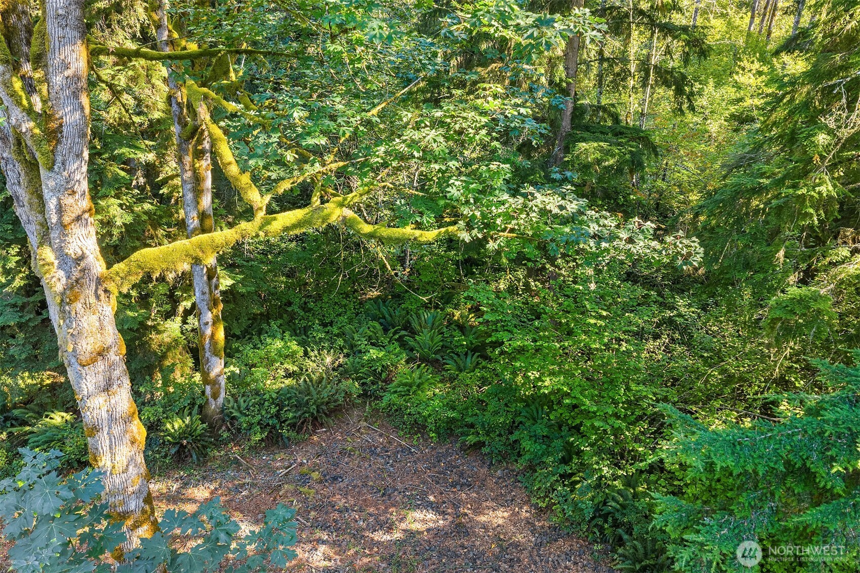358 XX NE Moss Lake Road