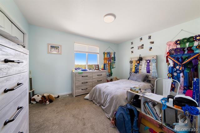 5101 Blue Bell Trail