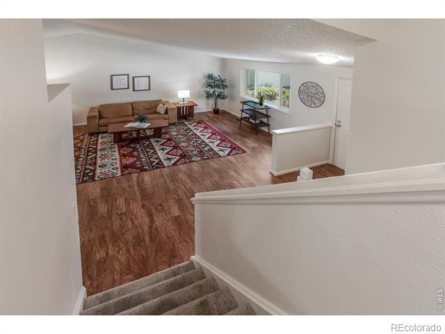 2826 Morgan Court