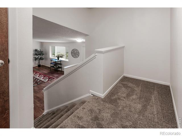 2826 Morgan Court