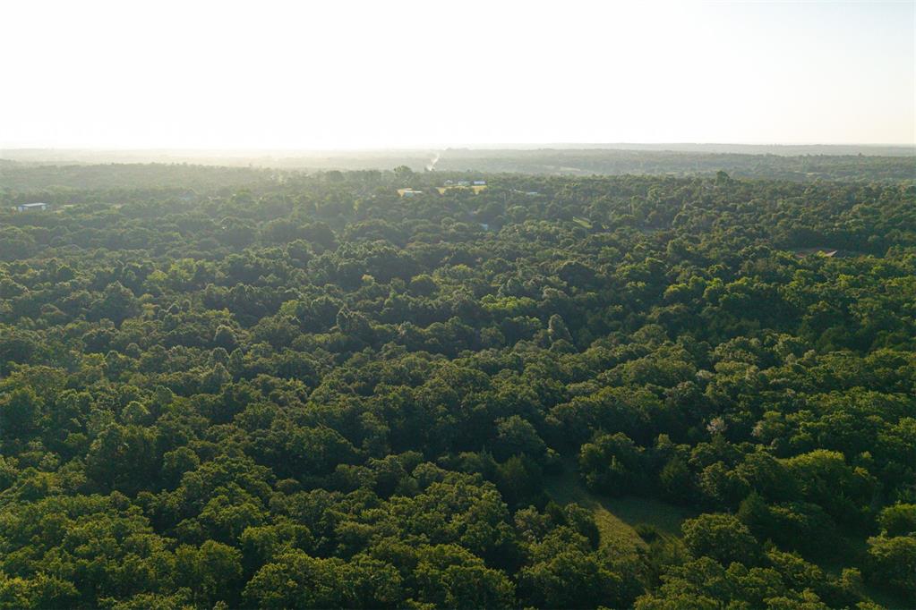 260011050 Elk Township