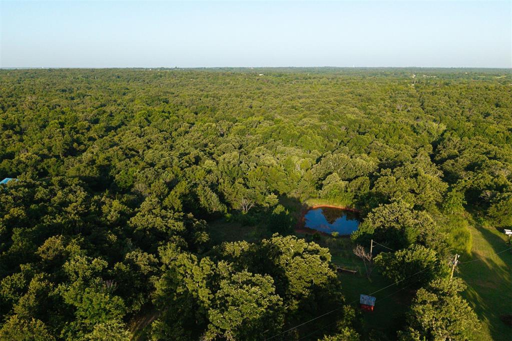 260011050 Elk Township