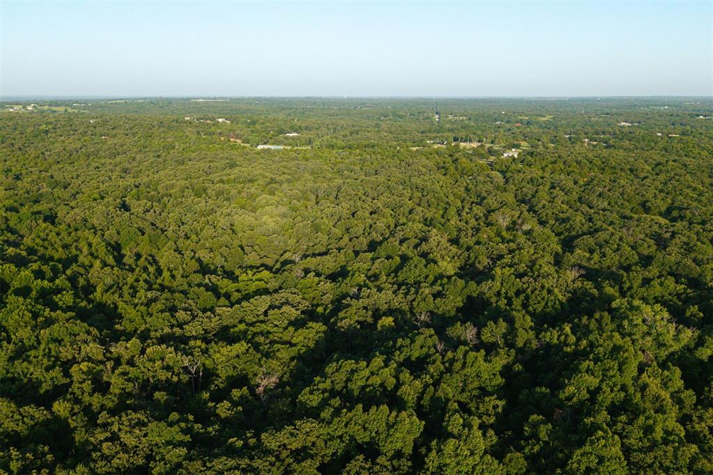 260011050 Elk Township